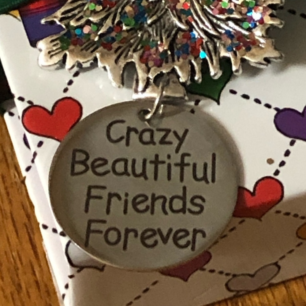 Crazy Beautiful Friends Forever Christmas Tree Ornament BRAND NEW - Picture 3 of 6